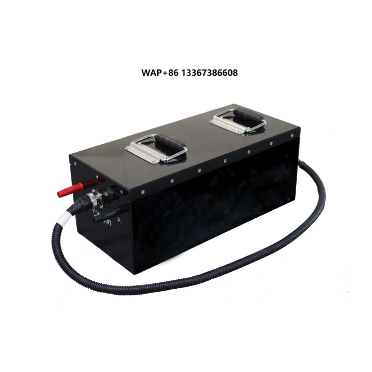 72V 40Ah Lifepo4 Battery Pack - Batteria al Litio 48 Volt, Pacco